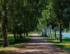 Санаторий Сосновый бор, Территория - фото 10