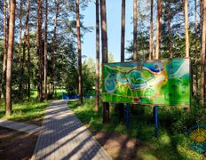 Санаторий Сосновый бор, Территория - фото 7