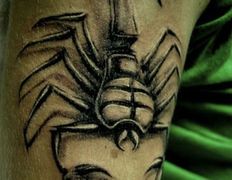 Салон красоты Exclusive (Эксклюзив), Тату - фото 7