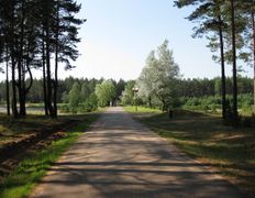 Санаторий Радон, Ландшафт - фото 9
