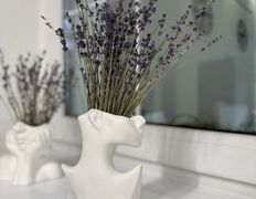 Салон красоты Paris (Париж), Галерея - фото 5