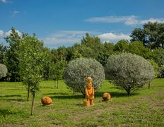 Парк-отель На том берегу, Интерьер и эстерьер - фото 8