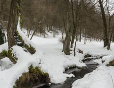 Коттедж The M Village (Зэ М Виллидж), Интерьер зимой - фото 8