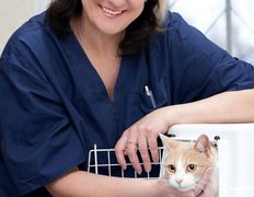 Ветклиника МогВетЛига, МогВетЛига - фото 4