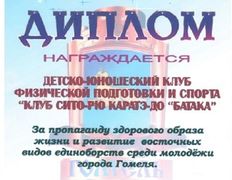 null Гомельское городское молодежное общественное объединение традиционного и спортивного каратэ, Наши награды - фото 10