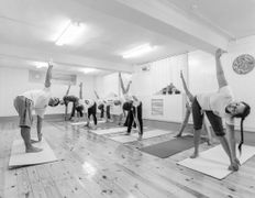 Школа йоги Возрождение культуры, Занятия - фото 14