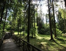 Республиканский горнолыжный центр Силичи, Канатная дорога и склоны - фото 4