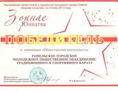 null Гомельское городское молодежное общественное объединение традиционного и спортивного каратэ, Наши награды - фото 7