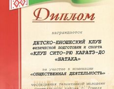 null Гомельское городское молодежное общественное объединение традиционного и спортивного каратэ, Наши награды - фото 12