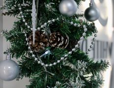 Стоматология White Dent (Вайт Дент), Галерея - фото 9