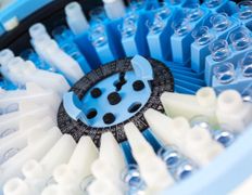 null Ветеринарный центр доктора Базылевского А.А. Филиал «Могилев», Галерея - фото 9