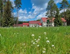 Оздоровительный комплекс Чайка, Территория - фото 14