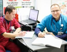 Ветклиника Эвия Верум, Галерея - фото 2