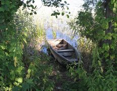 null Коттедж на озере Должа, Рыбалка - фото 7