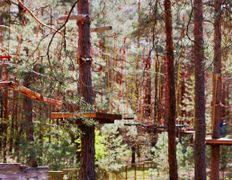 Туристско-оздоровительный комплекс Высокий Берег, Веревочный парк - фото 2