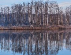 null Коттедж на озере Должа, Зима - фото 20