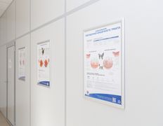 Ветеринарная клиника NAN Animal Clinic (НАН Энимал Клиник), Галерея - фото 7