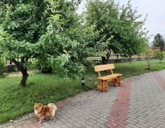 Сауна люкс VIP сауна на Явара и Калины, Беседка лето-зима - фото 5