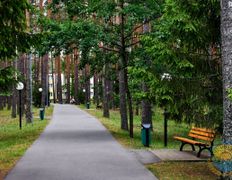 Санаторий Рассвет-Любань, Территория - фото 4