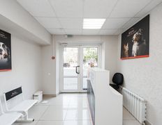 Ветклиника PET’S HEALTH (ПЕТС ХЕЛС), Интерьер - фото 8
