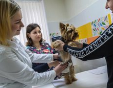 Ветеринарный центр КакадуВет, Галерея - фото 6