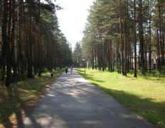 Санаторий Радон, Ландшафт - фото 8