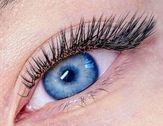 Имидж-студия Мажорка, Услуги по уходу за ресницами - фото 7