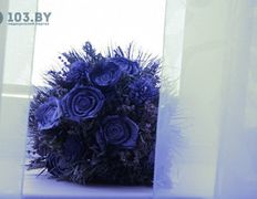 Психолог-практик Алешкович Жанна Михайловна, Интерьер - фото 13