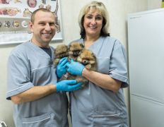 Ветклиника МогВетЛига, Галерея - фото 17