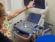 Ветклиника МогВетЛига, МогВетЛига - фото 6