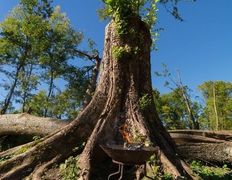 Парк средневековой истории Великое княжество Сула, Экскурсии - фото 20