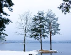 Санаторно-курортный комплекс Плисса, Проживание - фото 15