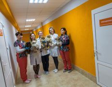 Ветеринарный центр КакадуВет, Галерея - фото 18