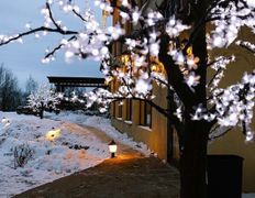 Вилла Vice house (Вайс хаус), Новый год 2025 - фото 4