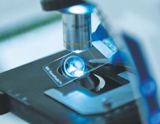 Международная лаборатория HELIX (ХЕЛИКС), Галерея - фото 3