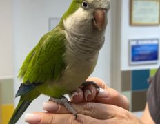 Ветеринарная клиника  АйбиВЕТ, Галерея - фото 19