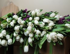 Spa-салон Баунти тай-спа, 8 марта в Баунти тай-спа - фото 8