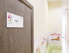 Ветеринарная клиника и аптека  Дай Лапу, Галерея - фото 15