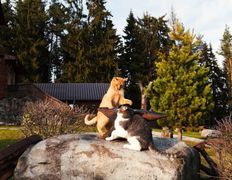 Загородный дом Вераги, Беседка - фото 2