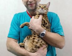 Ветклиника МогВетЛига, МогВетЛига - фото 14