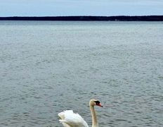 Оздоровительный комплекс Чайка, Территория - фото 10