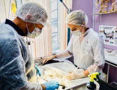 Ветеринарная клиника ЭкспертВет, Галерея - фото 17