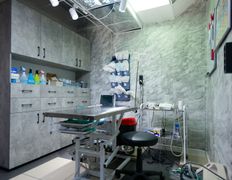 Ветеринарная клиника Белая медведица, Галерея - фото 5