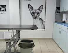 Ветеринарная клиника Дарис Вет, Галерея - фото 8