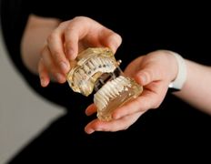 Стоматологический центр Ю-КЛИНИК, Галерея - фото 18