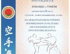 null Гомельское городское молодежное общественное объединение традиционного и спортивного каратэ, Наши награды - фото 11