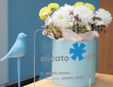 Центр гинекологии elicato (эликато), Галерея - фото 3