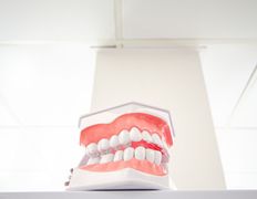 Стоматология Добрый стоматолог, Интерьер - фото 14