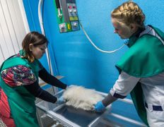 Ветеринарный центр КакадуВет, Галерея - фото 20