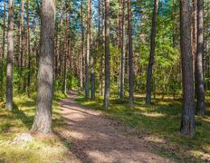 Оздоровительный комплекс Чайка, Территория - фото 5